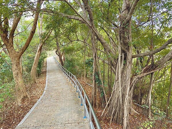 高雄市著名廟宇保安宮後方山坡,被民眾發現一具已經化成白骨的屍體,警方獲報派鑑識小組和報請檢察官指揮偵辦。圖/翻攝照片