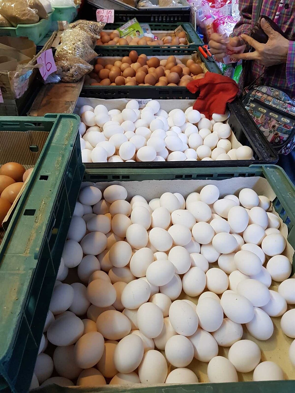 農委會表示,雞蛋的營養價值,與紅殼蛋、白殼蛋無關。記者彭宣雅/攝影