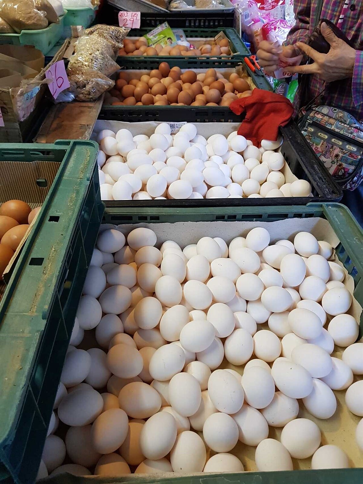 農委會表示,雞蛋的營養價值,與紅殼蛋、白殼蛋無關。記者彭宣雅/攝影