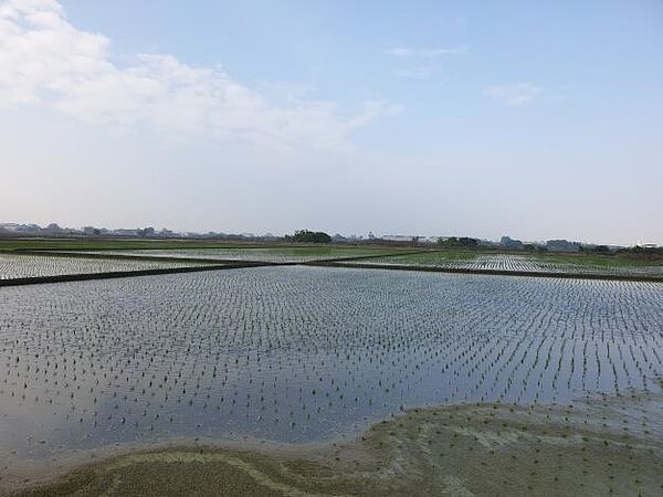 臺南市政府為加速推動官田地區開發建設，市長黃偉哲指示3月儘速召開座談會，徵詢官田二鎮市地重劃所有權人意願。圖／台南市政府提供