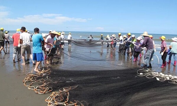 新屋海客休閒農業區特有牽罟捕魚、石滬景觀傳統特色，成為全桃第10大休閒農業區。圖／桃市農業局提供