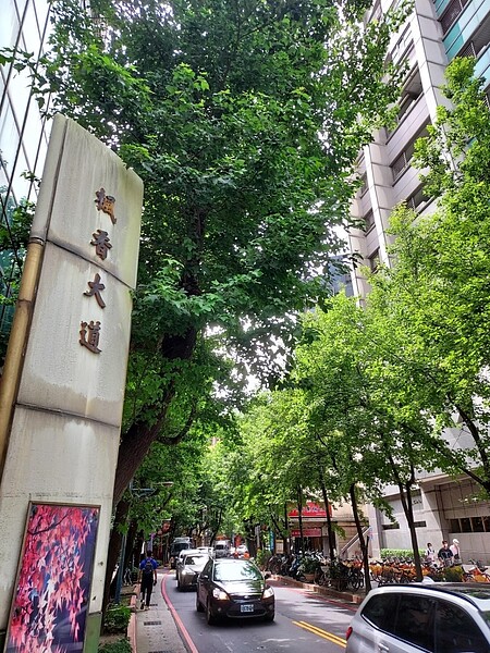 楓香掩映下的新德里大道。圖／易小滿攝

