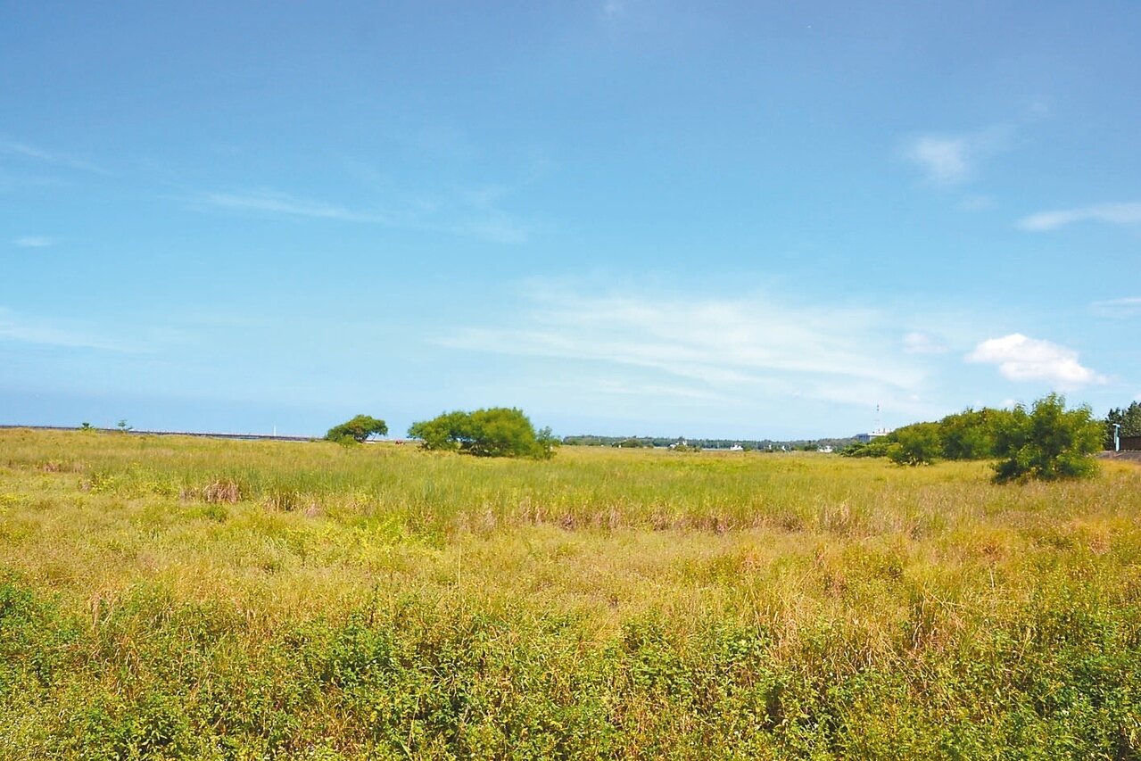 台南南區四鯤鯓海堤前有大片沙源穩定的灘地,水利署第六河川局將進行環境營造。記者鄭惠仁/攝影