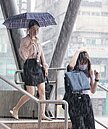 4縣市大雨特報!　注意雷擊及強陣風