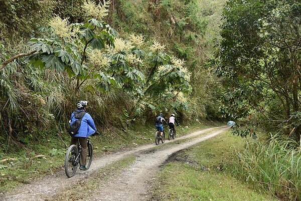 雪管處自今年5月20日起試辦開放自行車進入大鹿林道東線,(雪管處提供/謝明俊苗栗傳真)