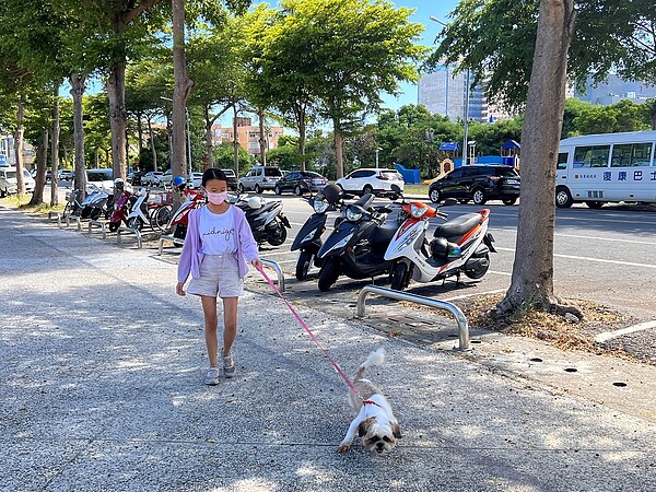 毛小孩隨地便便，飼主又沒盡責清理，將可依違反廢棄物清理法，處罰飼主1,200元至6,000元罰鍰。圖／台東縣政府提供