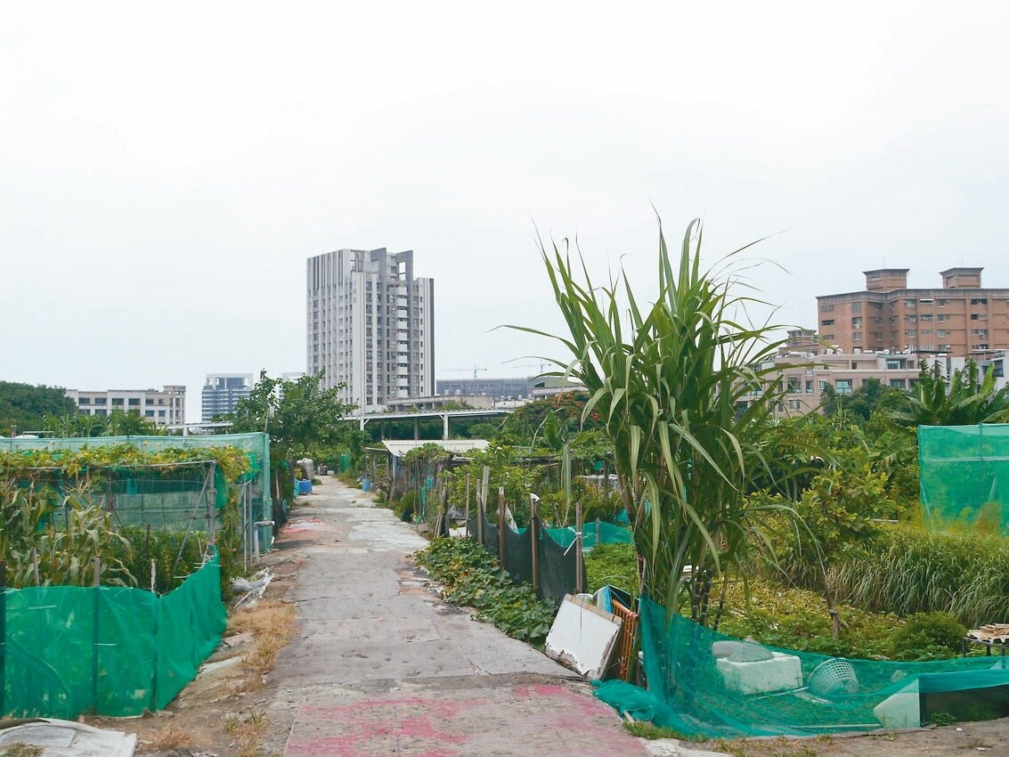 高雄鳳山中崙社區鄰五甲路,社區外就是大片農地,雜亂景觀與遠方高樓形成強烈對比。記者徐白櫻/攝影