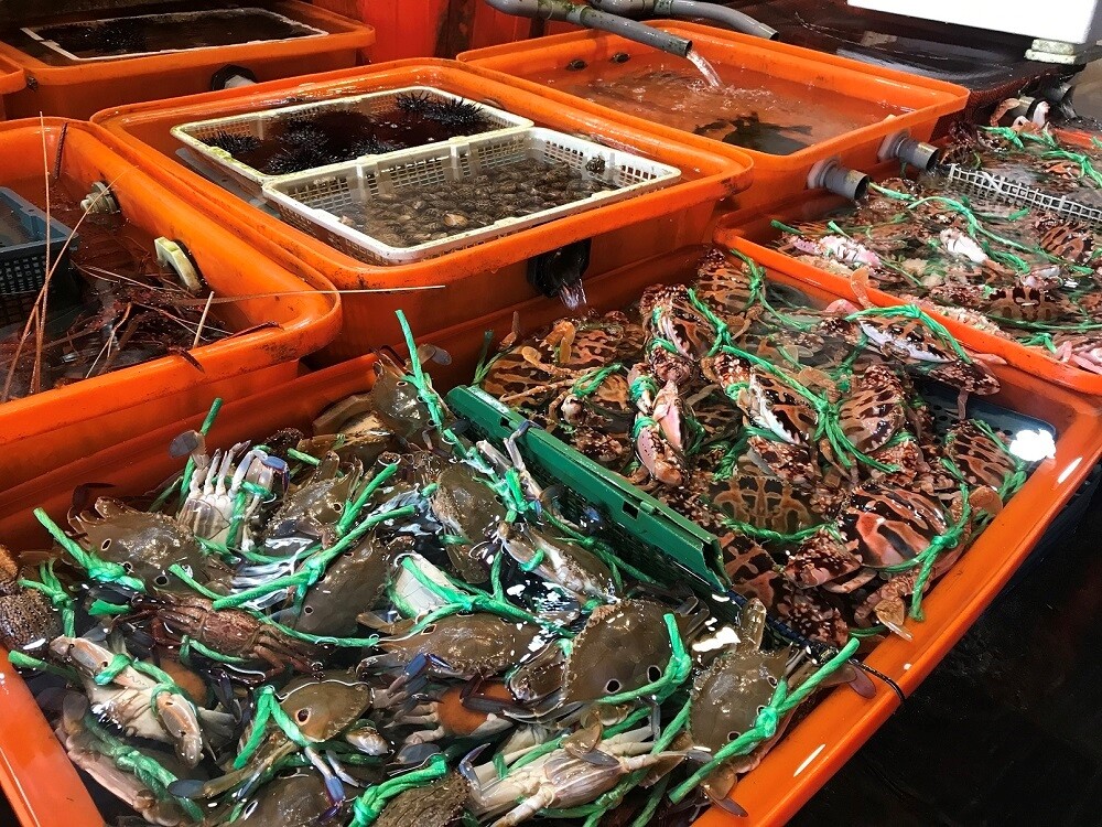 新北魚貨新鮮多元任您選購。圖/新北市府提供