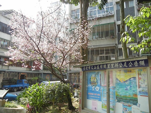 在里民和志工共同維護下，整潔的社區環境。圖片擷取自台北市文山區樟樹里Facebook
