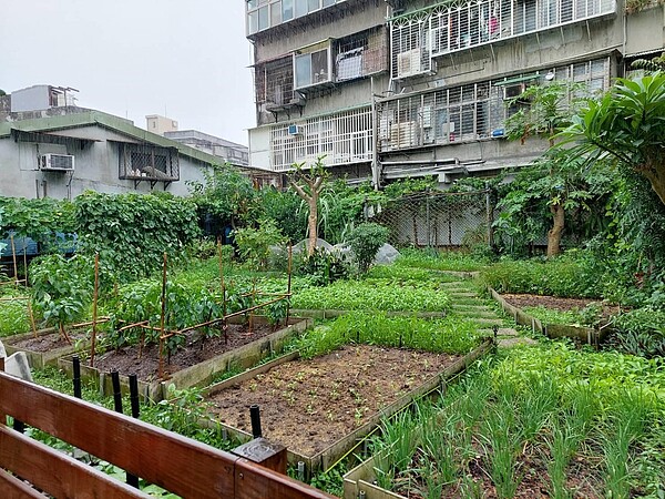 里民一同種植蔬果的歡喜菜園。圖／陳瑞達攝