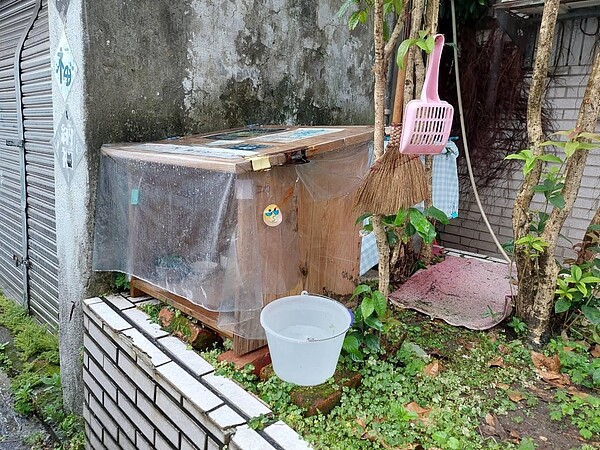 其中一戶居民所認養的街貓餵食站。圖／陳瑞達攝