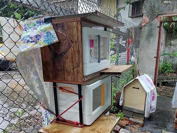 與高中生一同設置的浪貓旅舍。圖／陳瑞達攝