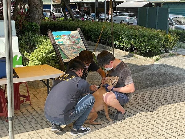 楊靜宇議員正在幫寵物施打狂犬病疫苗。圖/擷取自士林樂生活X有你有我臉書