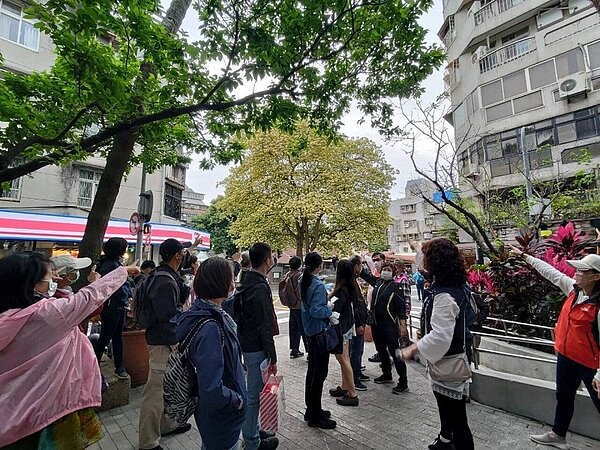 大學里歷史地標「台電加羅林魚木」  圖片由吳沛璇里長提供