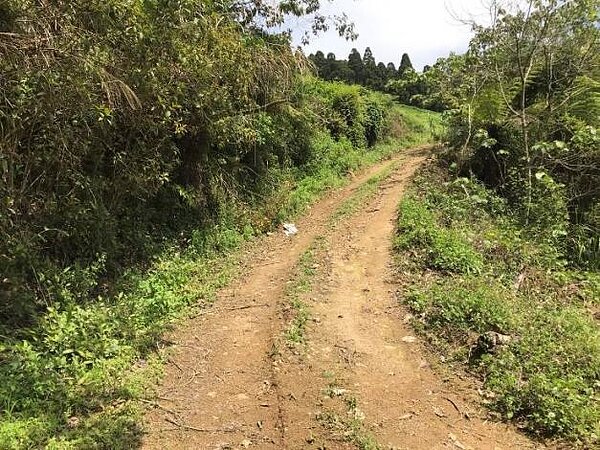 竹縣五峰3案獲中央核定4648萬元。圖/新竹縣原民處提供