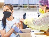 127萬劑幼兒BNT　下周開打