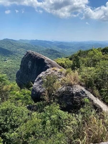 汐止山區驚見黑猩猩金剛地點曝,萬名網友按鑽:還銀背。圖/澤仁陳授權提供