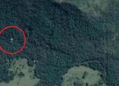 Google地圖幽靈圖像？　眼尖網友發現客機疑似墜落雨林
