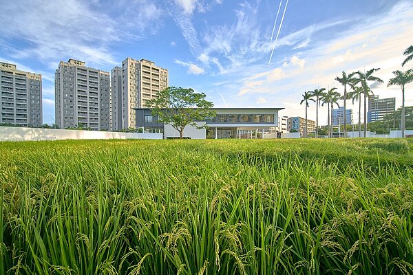 國泰雍萃接待中心,坐擁城中央田園景觀。
