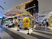 粉絲哭了！台北最後一間LINE　FRIENDS實體店8月底熄燈