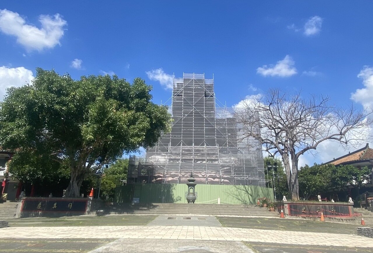 彰化八卦山大佛正在整修,蓮花座前右側的美人樹,因染病枝葉枯萎,專家建議移除,縣府全力搶救。記者劉明岩/攝影