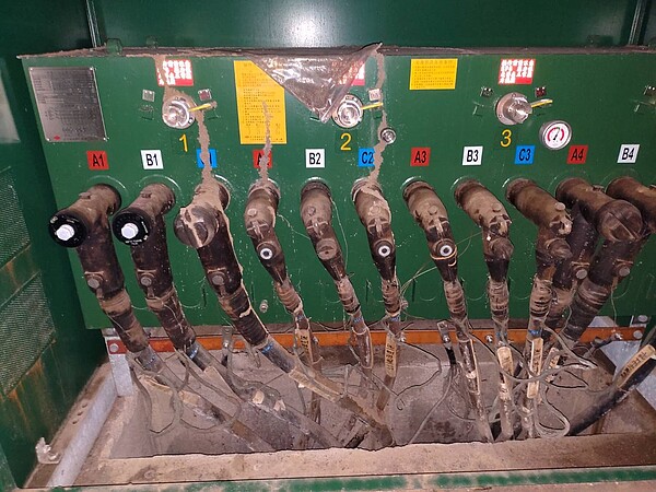 高雄左營區25日晚停電,台電經查是白蟻咬穿電纜。記者王昭月/翻攝