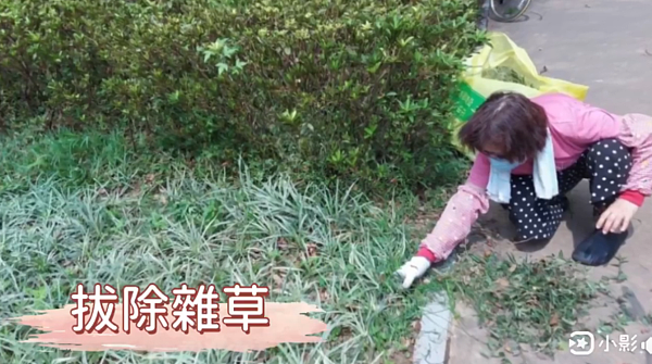 前港里整理前港公園