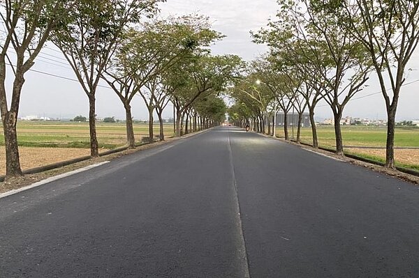 工務局砸2400萬改善172甲線路樹竄根問題。圖/台南市政府提供