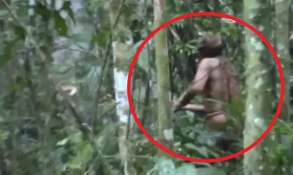 巴西亞馬遜雨林中有一名至今身份不明、但具有超凡魅力的原住民被認為是其部落的最後一名倖存者,近日卻傳出過世消息。圖/取自Facebook