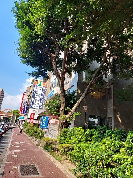 用心綠化家園。圖／易小滿攝