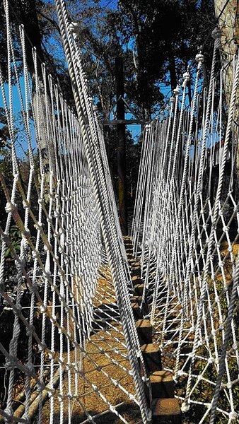 體訓場規劃構想案例示意圖。圖/台中市觀旅局提供