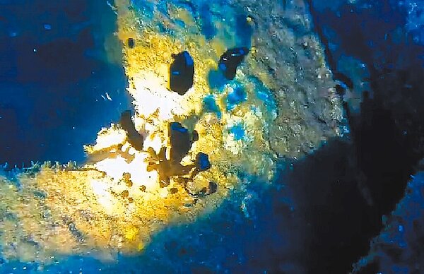 沉沒蘭嶼海底39年的南韓籍「堡壘號」 貨輪,船尾漏油不斷冒出黑色泡泡。(藍海屋潛水提供/莊哲權台東傳真)