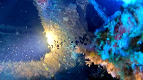 蘭嶼潛水業者發現,沉船已經39年的貨輪尾部出現漏油,黑色機油從船體,像冒泡泡般不斷地洩漏到海洋。圖/藍海屋潛水提供