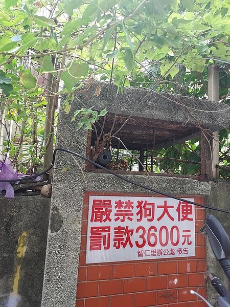 掃除髒亂，免重罰。圖／易小滿攝