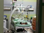 新冠疫情升溫　專責病床需求大增