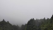 軒嵐諾挾風雨　太平山國家森林遊樂區午後預警性休園