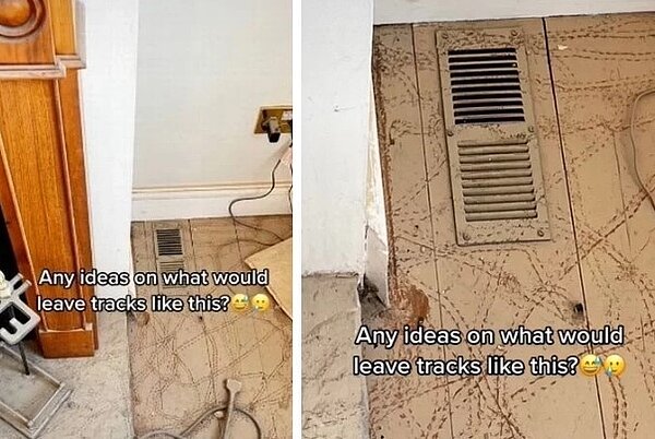 夫妻家中出現奇怪的痕跡上網詢問，結果卻得到超多爆笑答案。圖／擷自Tik Tok