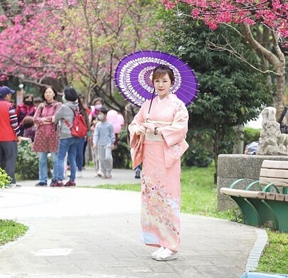 櫻花季時，凍齡里民穿上華麗和服粉墨登場。圖／里辦提供