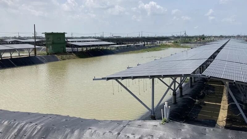 嘉義縣漁電共生室外場。記者魯永明/攝影