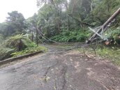 軒嵐諾颱風「吹斷10米電線桿」　新北一度3297戶停電