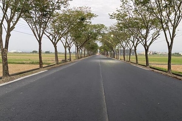 172甲線路樹竄根危害交通安全,南市府明年完成改善。圖/台南市工務局提供