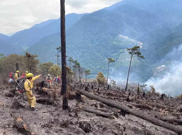 去年國有林地森林火災件數、被害面積創下歷史新高,重創森林資源,也讓森林救火隊疲於奔命。圖/麗陽工作站護管員汪竣泰提供