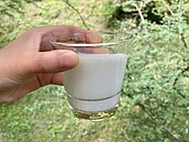 不是添加防腐劑！保久乳不用冰可比鮮奶放更久　3原因長知識了