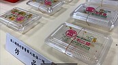 代購團購小心假貨！彰化男仿冒名店「不二坊」　2年賣上萬盒獲利600萬