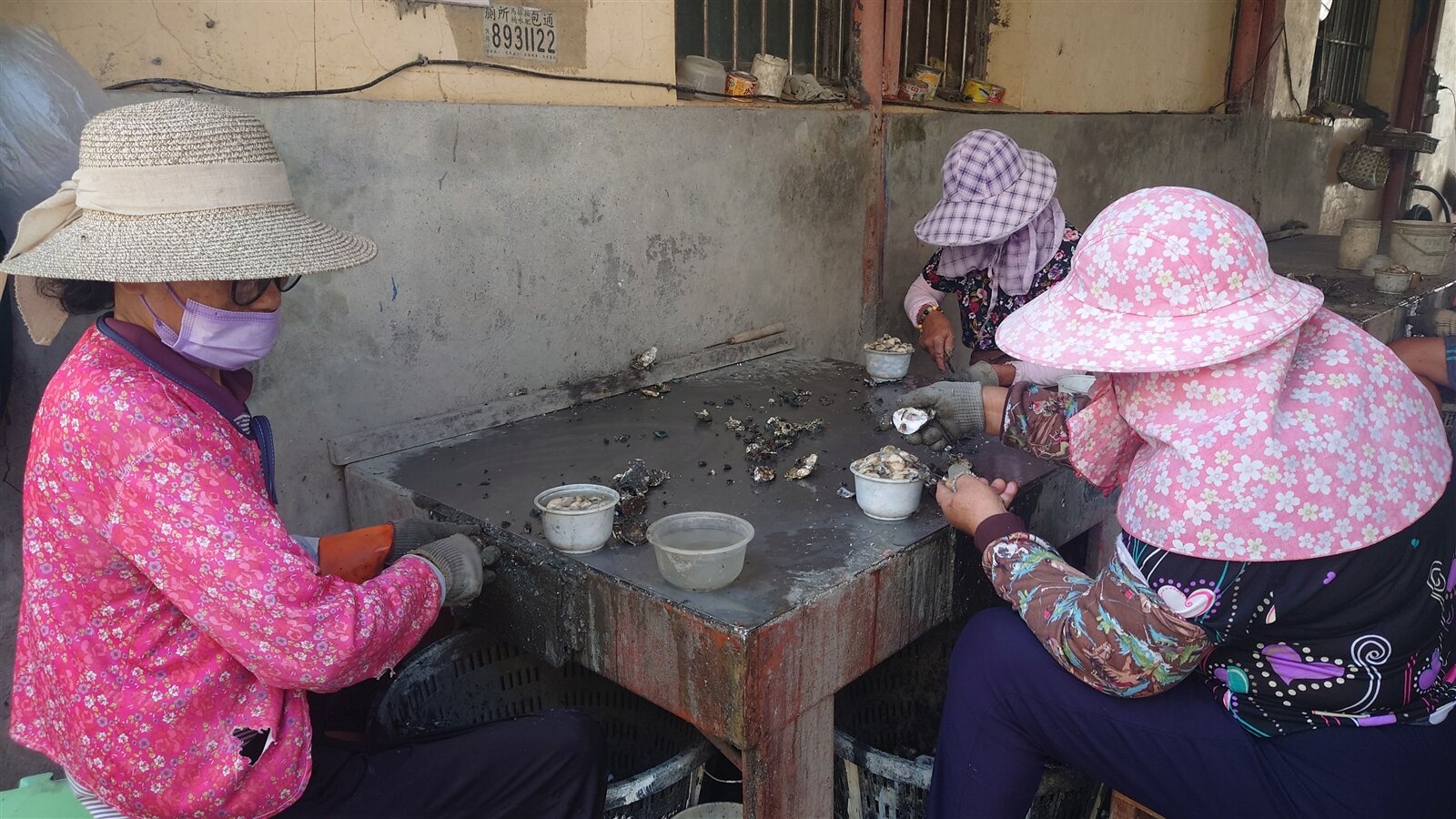 彰化縣芳苑鄉牡蠣歉收,平均產量不到以前的一半。記者簡慧珍/攝影