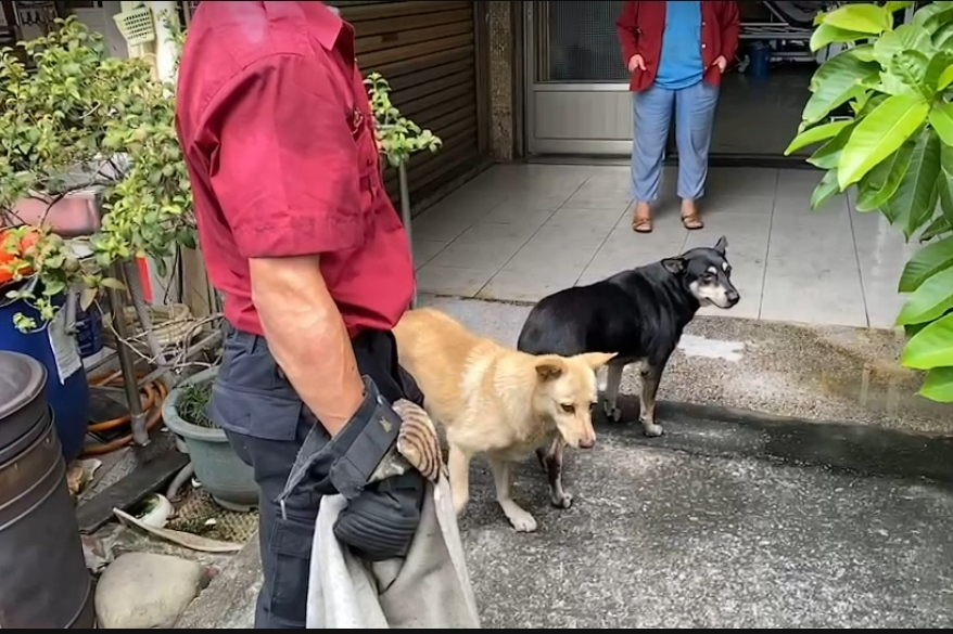 高市消防員從電池店火場救出胡姓屋主飼養的2隻流浪愛犬。記者石秀華／攝影 