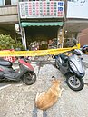 高雄鳳山電池店夫妻葬生火窟　3愛犬獲救