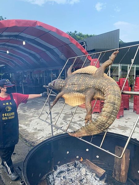 地方社團粉專「嘉義多一點」分享有間甕仔雞店,大大的烤網上放著一隻鱷魚,記者採訪,烤全鱷是阿里山鄉鄒族「山豬亮」,專門跑外場烤肉謀生。圖/取自嘉義多一點臉書粉專