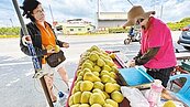 秋節後文旦買氣冷　麻豆柚農俗俗賣