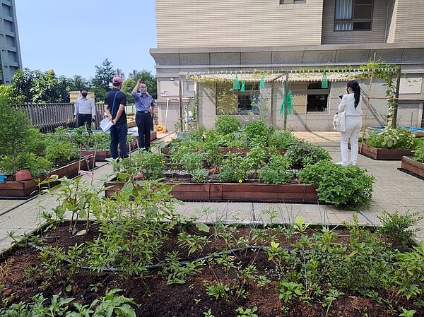 新北市111年度優良公寓大廈評選結果揭曉,110家社區激烈角逐下,評選出幸福安居金質獎、管理特色獎、綠環境特色獎、營造與關懷特色獎、防災推動獎等共41家社區雀屏中選。圖/新北市工務局提供